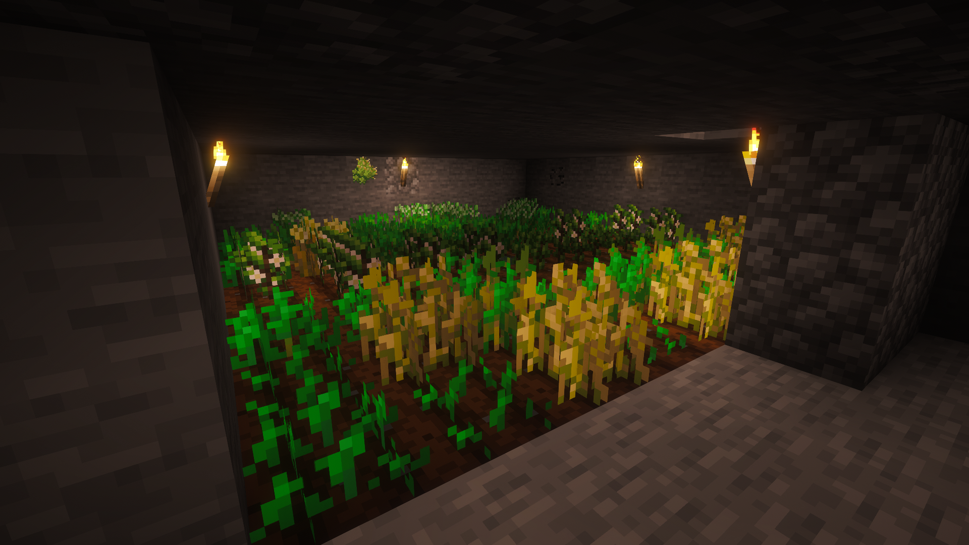 wheat and barley farm